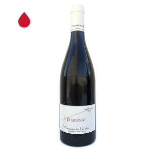 Saint-Pourçain, Auvernat - Domaine des Bérioles 2023