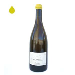Saint-Pourcain, INTREPIDE BLANC - Domaine des Bérioles -2022
